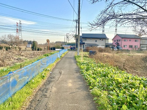 前面道路含む現地写真