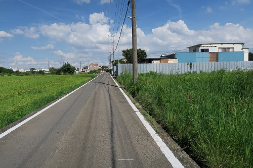 前面道路含む現地写真